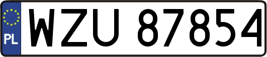 WZU87854