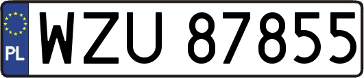 WZU87855