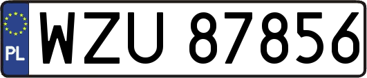 WZU87856