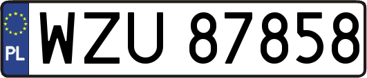 WZU87858