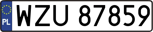 WZU87859