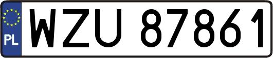WZU87861