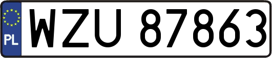 WZU87863