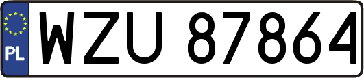 WZU87864
