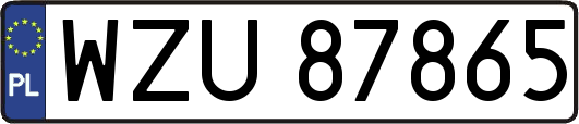 WZU87865