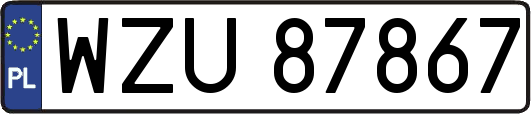 WZU87867