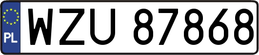 WZU87868