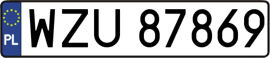 WZU87869