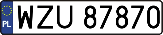WZU87870