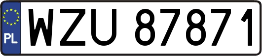 WZU87871