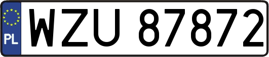 WZU87872