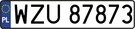 WZU87873