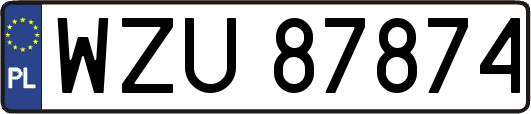 WZU87874