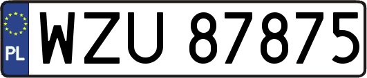 WZU87875