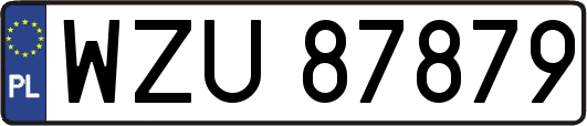 WZU87879