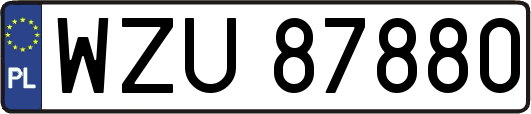 WZU87880