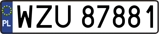 WZU87881