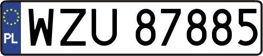 WZU87885