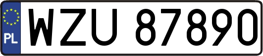 WZU87890