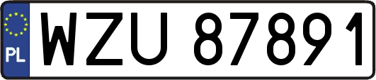 WZU87891