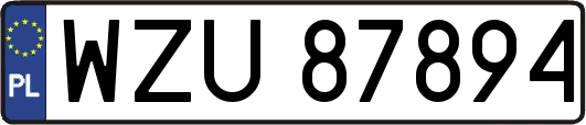 WZU87894