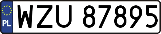 WZU87895