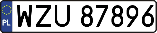 WZU87896