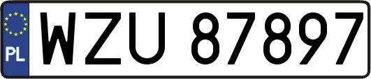 WZU87897