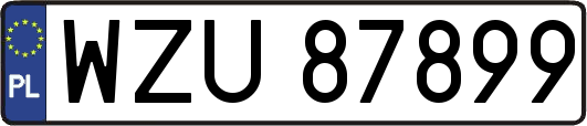 WZU87899