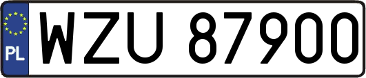 WZU87900