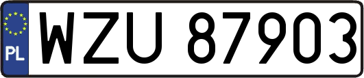 WZU87903
