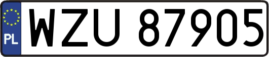 WZU87905