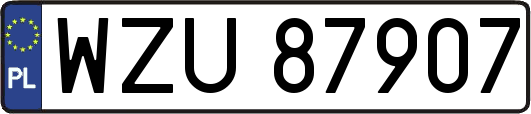 WZU87907