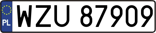 WZU87909