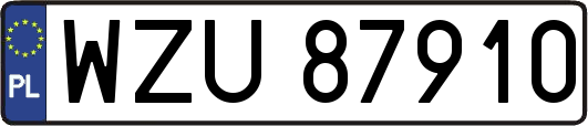 WZU87910