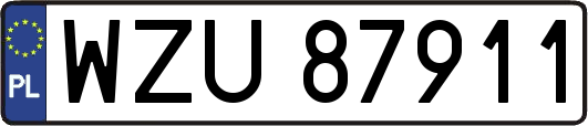 WZU87911