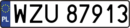 WZU87913