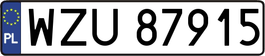 WZU87915