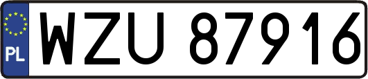 WZU87916