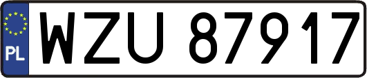 WZU87917