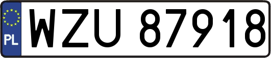 WZU87918