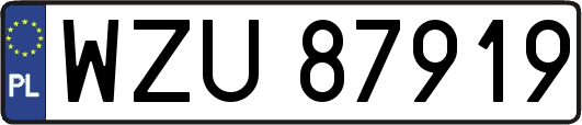WZU87919