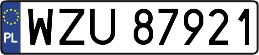 WZU87921