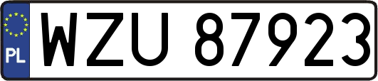 WZU87923