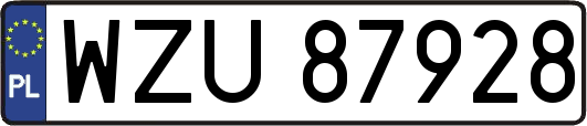 WZU87928
