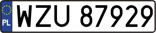 WZU87929