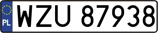 WZU87938