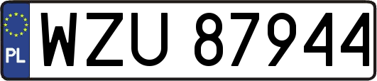 WZU87944