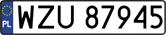 WZU87945