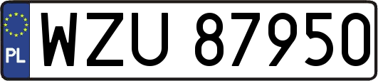 WZU87950